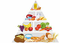 شناخت اصول تغذیه و رژیم | گهوارک