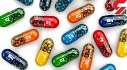 آنزیم‌های غذایی مورد نیاز بدن: راهنمای جامع